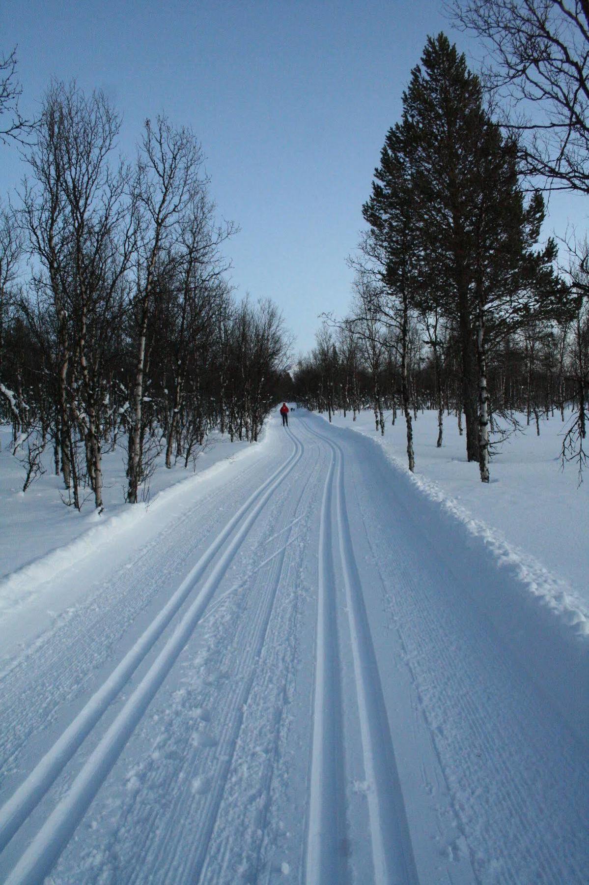 Dalseter Hoyfjellshotell Vinstra Esterno foto